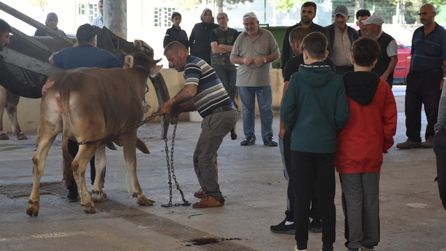 Sivas'ta kurban kesim noktalarında hareketlilik