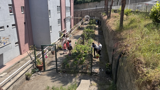 Galeri