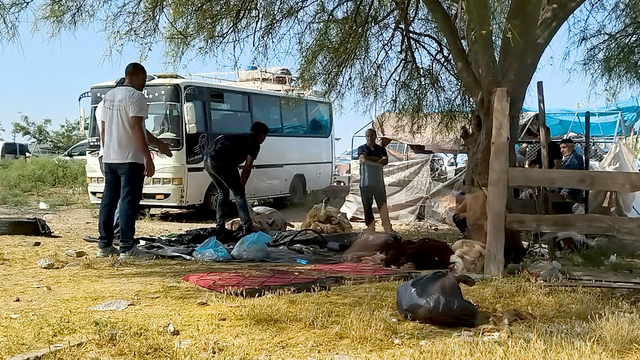 Kurbanlıkları kaldırımlarda ve yol kenarlarında kestiler