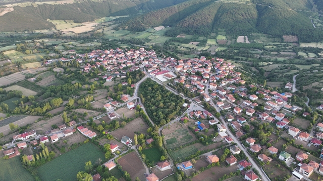 Galeri