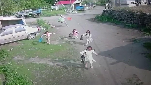 Kaçan kurbanlık boğa çocukları kovaladı