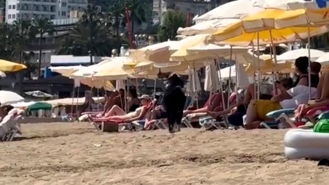 Antalya'da kaçan kurbanlık keçi, plaja girdi