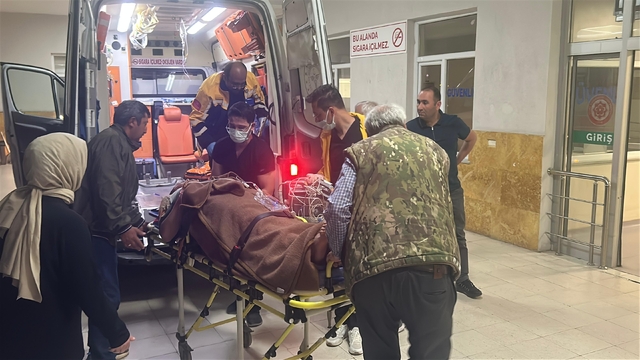 Sivas'ta eski köy muhtarı kardeşini öldürdü, oğlunu ve diğer kardeşini yaraladı