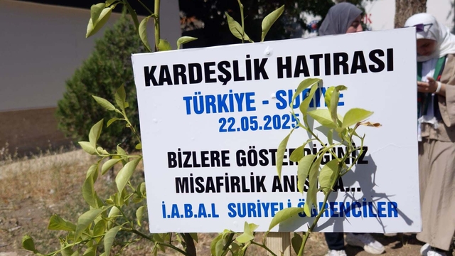 Suriyeli öğrenciler, okullarına kardeşlik fidanı dikip ülkelerine döndü