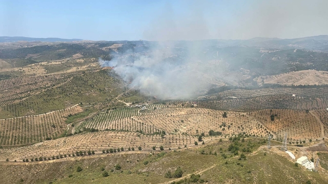 İzmir'de makilik yangını