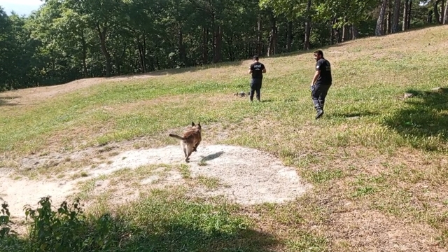 Kayıp ortaokul öğrencisi Burak'ı 94 kişilik ekip arıyor (4)