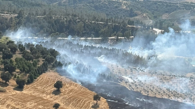Adana'da ormanlık alanda çıkan yangın söndürüldü