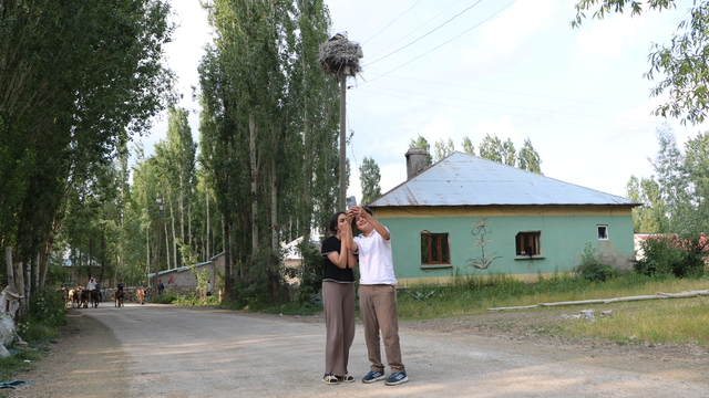 22 yıldır göç etmeyen leyleklere bakıyorlar