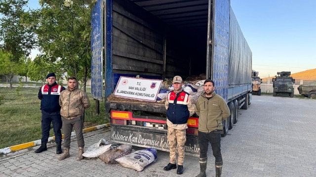 Van'da 19 ton ölü inci kefali ele geçirildi