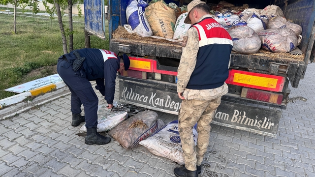 Van'da kaçak avlanmış 19 ton 200 kilogram inci kefali ele geçirildi