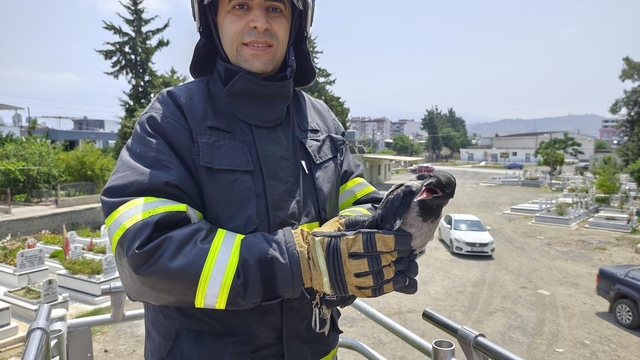 Hatay'da ağaçtaki ipe dolanan kargayı itfaiye kurtardı