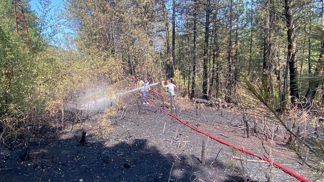 Bolu'da örtü yangını