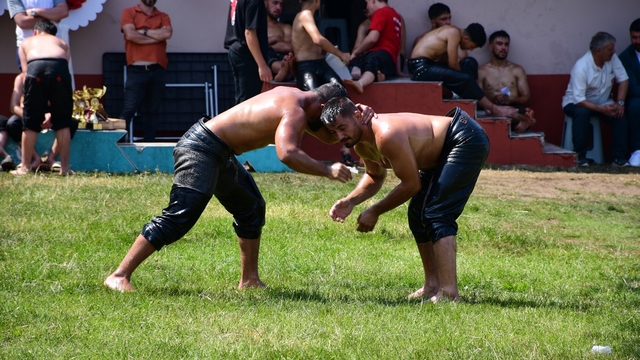 Galeri