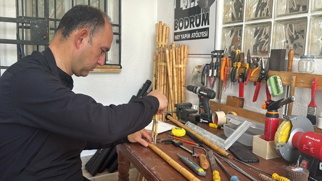 Galeri