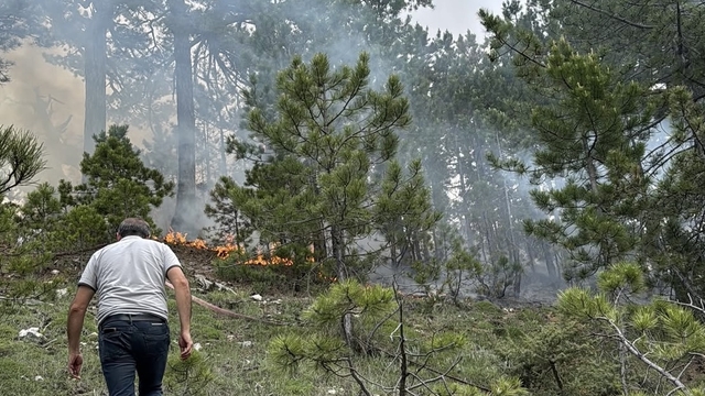 Denizli'de çıkan orman yangını söndürüldü
