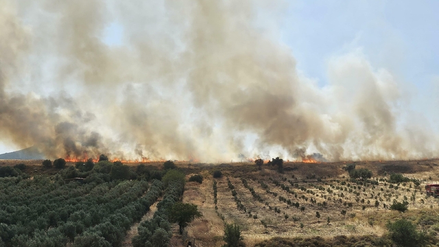 Foça'da ot yangını; 4 hektarlık alan zarar gördü