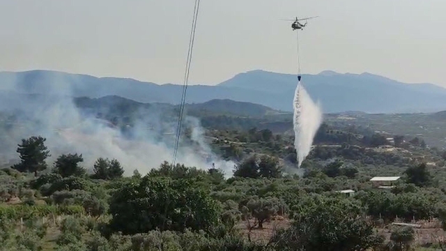 Manisa'da tarım arazisindeki yangın, ormanı da yaktı