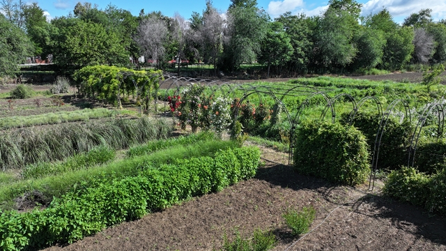 Edirne'de çiçekler ve aromatik bitkilerin yer aldığı "Koku Tüneli" oluşturuldu