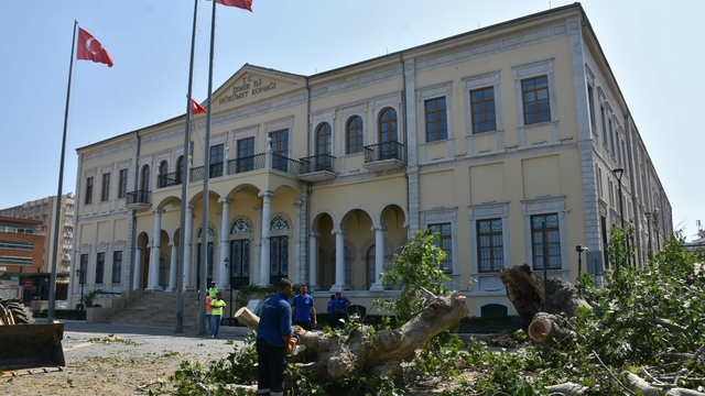 İzmir Valiliği önündeki asırlık çınar devrildi; o anlar kamerada