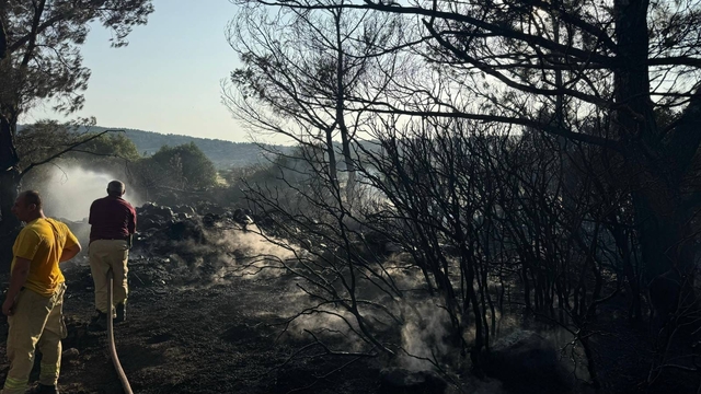 İzmir'de yaktığı mangal ateşi yüzünden orman yangınına yol açtığı iddiasıyla 1 kişi tutuklandı
