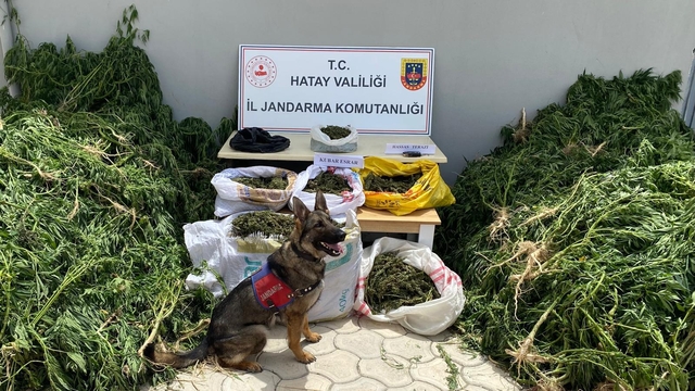 Hatay'da uyuşturucu ve kaçakçılık operasyonlarında 83 şüpheli yakalandı