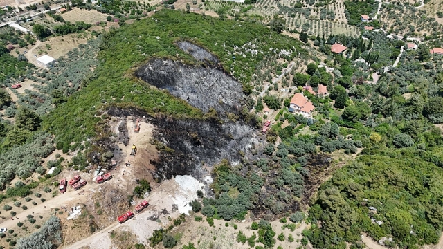 İzmir'de orman yangını çıktı (2)