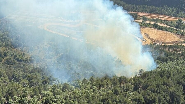 Balıkesir'de orman yangını