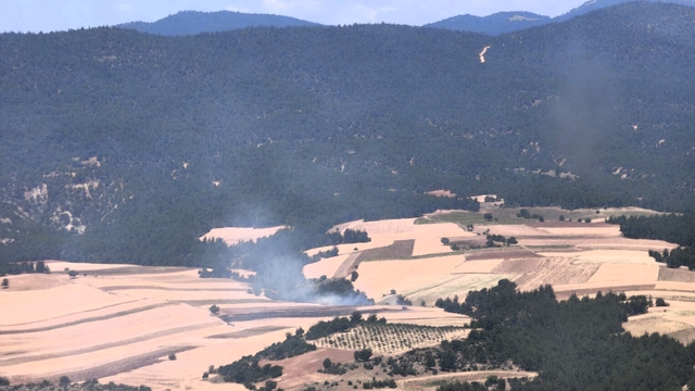 Bilecik'te ormanlık alan ve buğday tarlasında çıkan yangın kontrol altına alındı