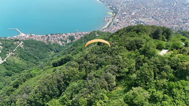 Galeri