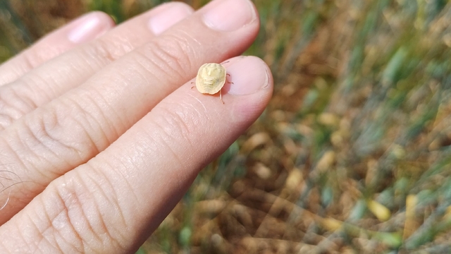 Beyşehir'den kısa kısa