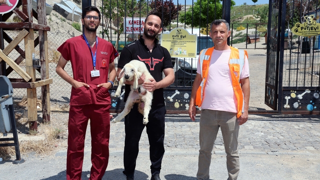 Kayseri'de koyun ve kuzularını kaybeden besici, belediye sayesinde hayvanlarına kavuştu