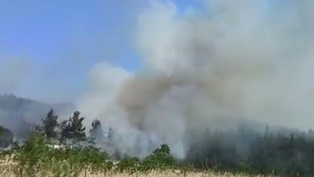 Çanakkale'de orman yangını