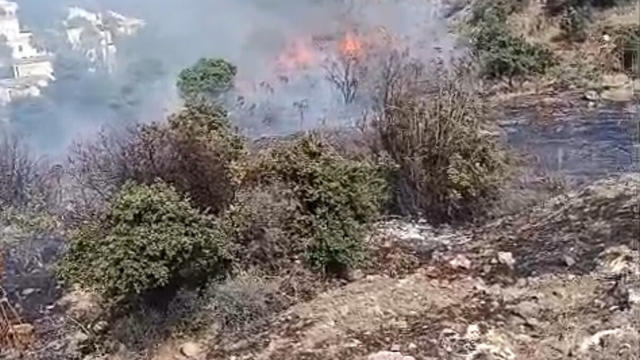 Bodrum'da maki yangını