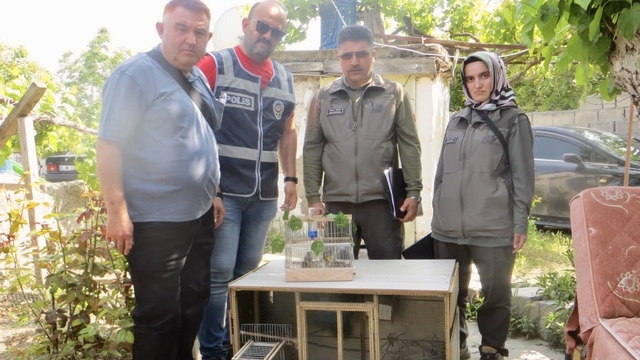 Kırşehir'de evinde saka kuşu satan kişiye 77 bin 600 lira ceza kesildi