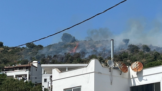 Bodrum'da makilik alanda çıkan yangın söndürüldü