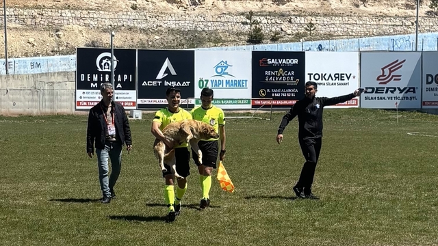 Konya'da köpeğe kırmızı kart gösteren hakem o anları anlattı