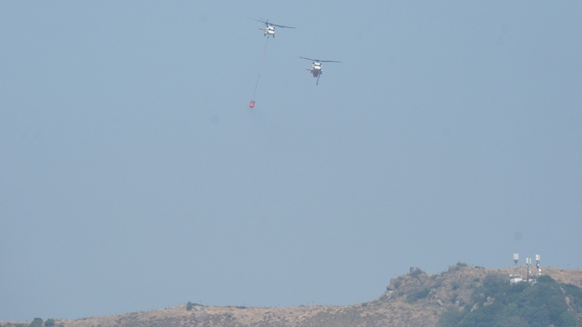 Bodrum'da maki yangını (2)