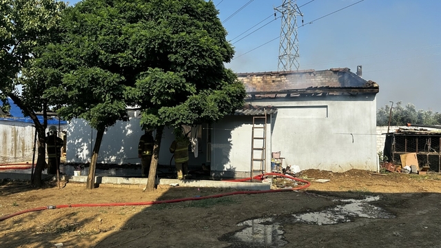 Galeri