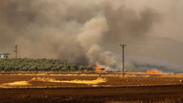 Gaziantep'te buğday ekili yaklaşık 500 dönümlük alanda çıkan yangına müdahale ediliyor