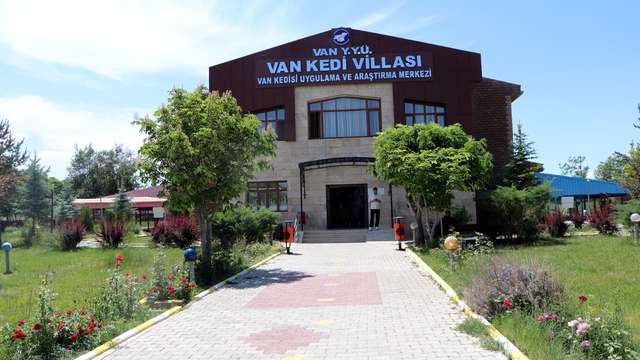 Galeri