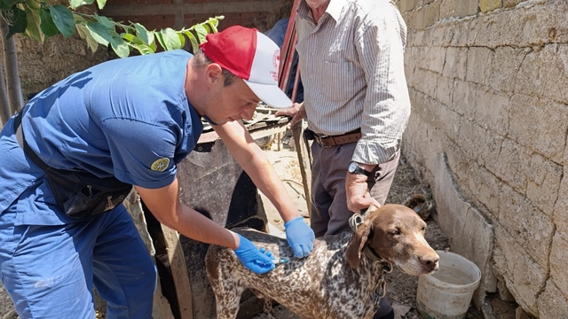 Edirne'den kısa kısa