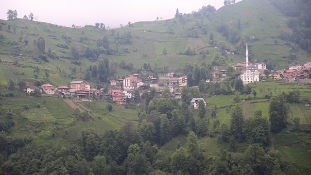 Galeri