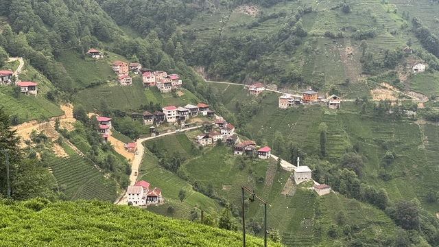 Galeri