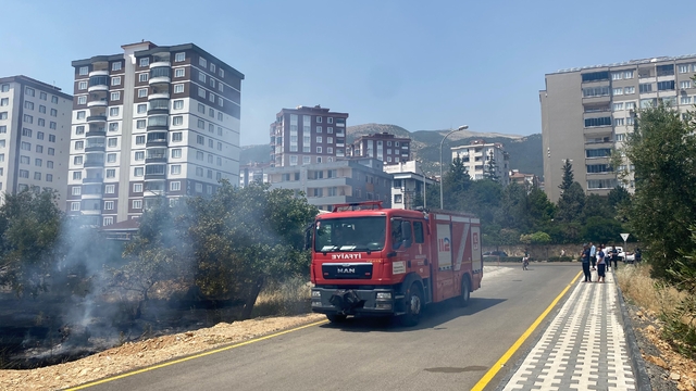 Kahramanmaraş'ta zeytin bahçesinde çıkan yangın söndürüldü