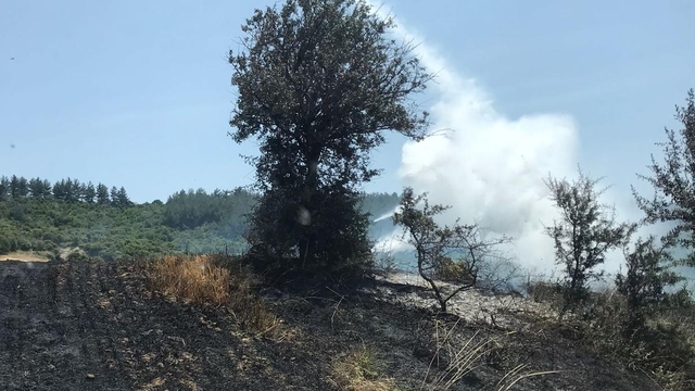 Çanakkale'de tarım arazisinde çıkan yangın kontrol altına alındı