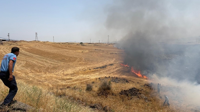 Gaziantep'te 300 dönümlük alanda çıkan anız yangını söndürüldü