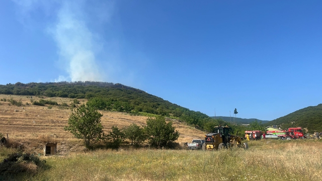 Tokat'ta ormanlık alanda çıkan yangına müdahale ediliyor