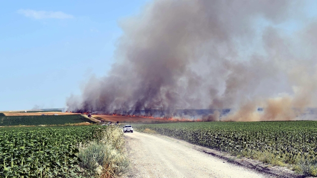 Buğday tarlasında yangın (2)