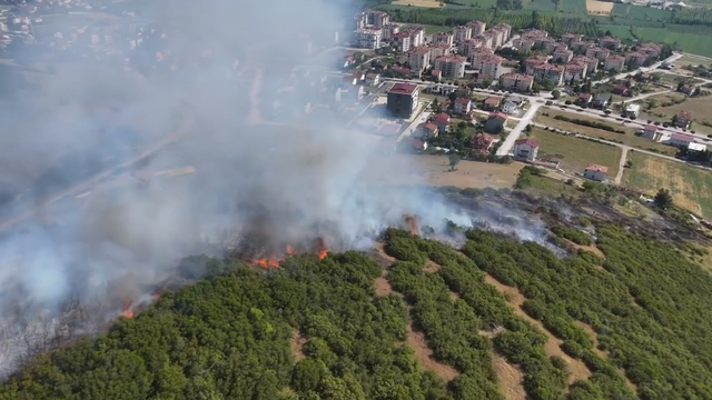 Tokat'ta maki yangınında 15 dönüm alan zarar gördü
