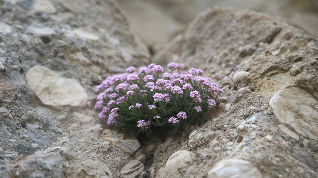 Milli park ilan edilen Geben Vadisi'nde ekoturizmin canlanması bekleniyor